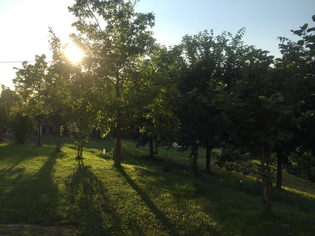 B&B Nido Sui Laghi San Donnino della Nizzola Екстер'єр фото