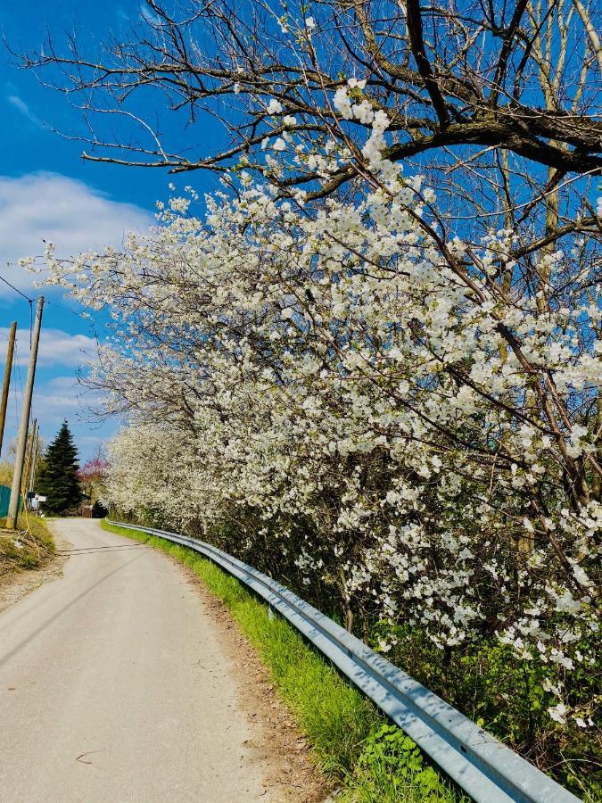 B&B Nido Sui Laghi San Donnino della Nizzola Екстер'єр фото